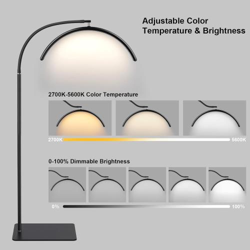 Half Moon LED Floor Light - Professional Shadow-Free Lamp for Lash Techs, Estheticians & Tattoo Artists | Dimmable for Eyelash Extensions, Nail Art, Home & Office