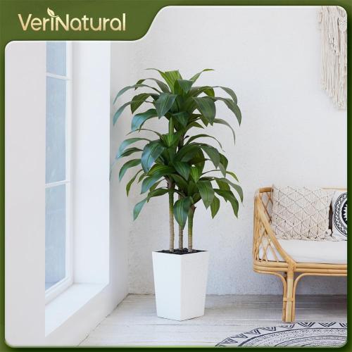 VeriNatural 5FT Artificial Dracaena Tree - UV Resistant Faux Tropical Plant, Potted Fake Tree with Taper Planter & Pebbles - Indoor Outdoor Greenery for Home, Porch, Living Room, Bedroom Decor, VN127