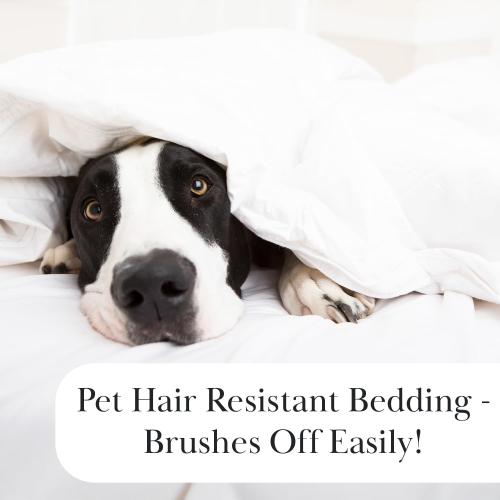 Southshore Fine Living, Inc. Oversized King/California King Duvet Cover Set Soft Premium Bedding with Zipper Closure Includes 1 Duvet Cover and 2 Pillow Shams, Machine Washable, Aqua