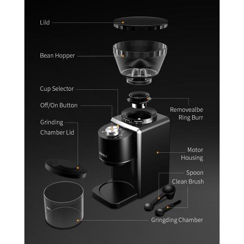 Conical Burr Coffee Grinder, Electric Coffee Bean Grinder for Precise Grinding, 35 Settings, 2–12 Cup Selector, Anti-Static Design for Home Use, Black