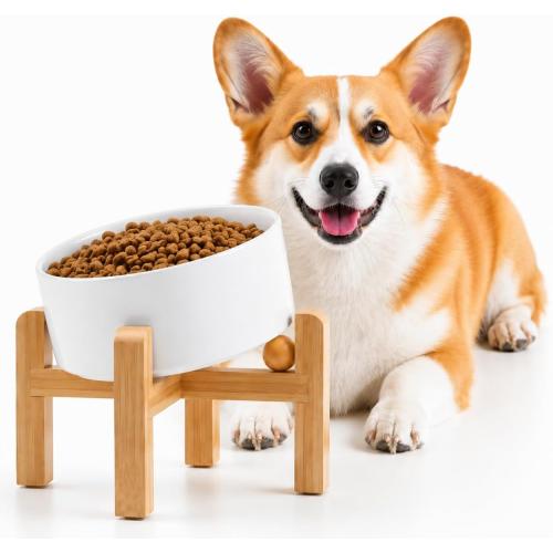 Petygooing White Raised/Elevated 15°Slanted Ceramic Dog Bowl for Small Breeds,Tilted Anti Slip Pet Feeding Bowl,Food Water Dish with Stand for Cats and Small Dogs Puppy 13.5 OZ (5.1In / 1.7 Cups)