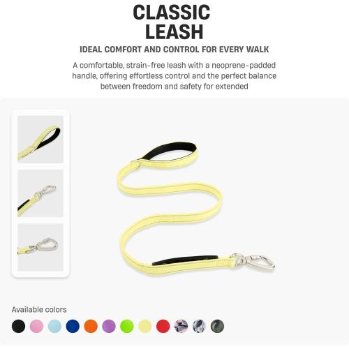 DF Co. Classic Dog Leash | Strain-Free, Shock Resistant, Prevents Jolts, Maintain Control | Durable Waterproof Material with Heavy Duty Clip & D-Ring | Green Camo, Size Regular