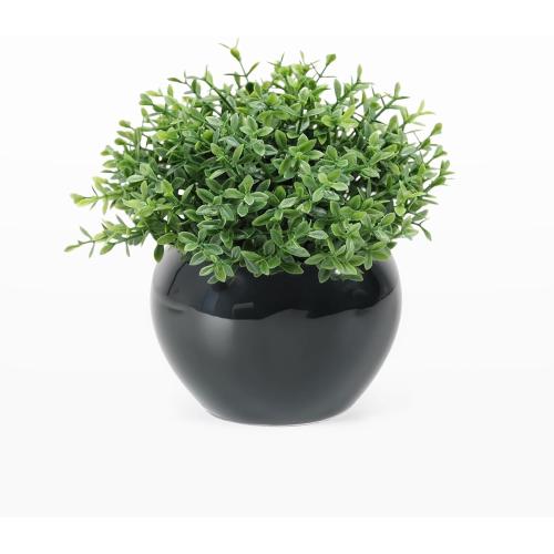 Velener Fake Sage Plants for Shelf Decor, Small Artificial Succulents Grass Desk Plant for Office Women, Mini Faux Plant Indoor, Masculine Home Decor, Coffee Table Decor in Pot
