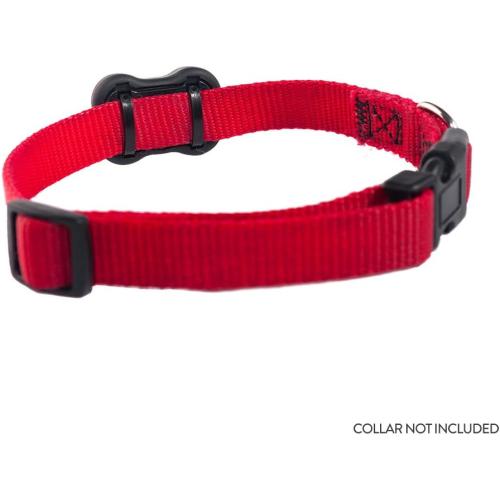FitBark 2 Dog Activity Monitor | Health & Fitness Tracker for Dogs | Waterproof, Small & Leightweight (10 g) | Not a GPS Tracker