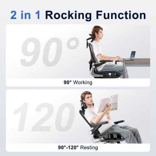 Ergonomic Office Chair，Mesh Seat Cushion with 3D Armrests and 3D Headrest, Adjustable Lumbar Support with Rocking Function, SGS Class 4 Gas Clylinder，Black
