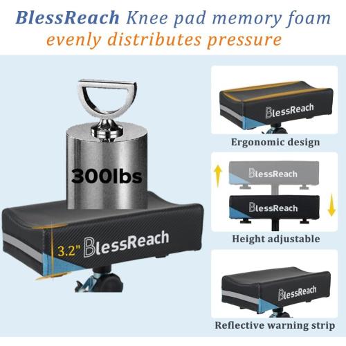 Economy Knee Scooter Steerable Knee Walker for Foot Injuries Compact Crutch Alternative with Dual Braking System (Blue)