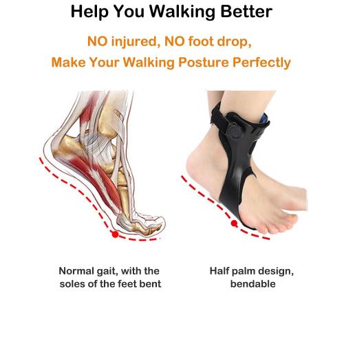 AFO Drop Foot Brace, Upgraded Medical Foot Up Ankle Foot Orthosis Support with Inflatable Airbag for Hemiplegia Stroke Shoes Walking Foot Stabilizer (Left, XL)