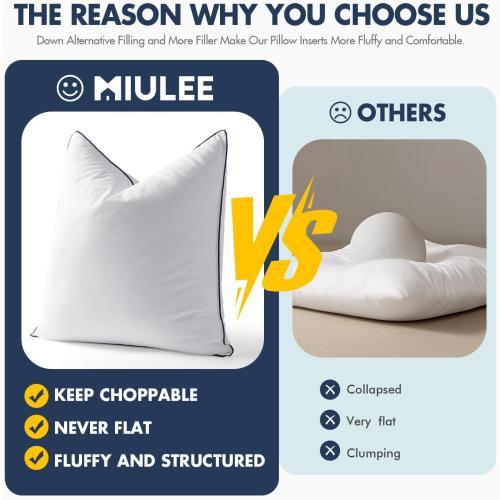 MIULEE 20x20 Pillow Inserts, Fluffy Down Alternative Filling Pack of 2 Ultra Soft Throw Pillows for Sofa Couch Bed