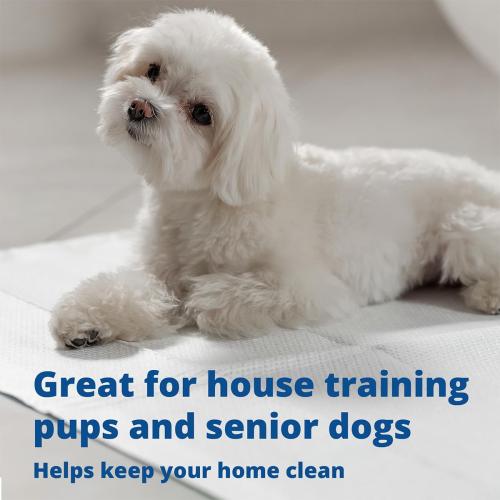 Medline Ultrasorbs Bed Pads Disposable Adult, Advanced  Ultra Thick, 30x36, 40 Count, Chucks Pads Disposable Adult, Heavy Duty Chux Pads, for Incontinence, SlipResist Technology, 300 LB Capacity