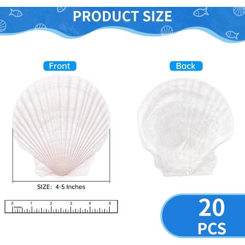 20PCS Large Scallop Shells for Crafts, 4-5 Inch Natural Sea Shells for Decorating, White Seashells Bulk for DIY Crafting, Painting, Baking, Ocean Themed Party Supplies & Decorations