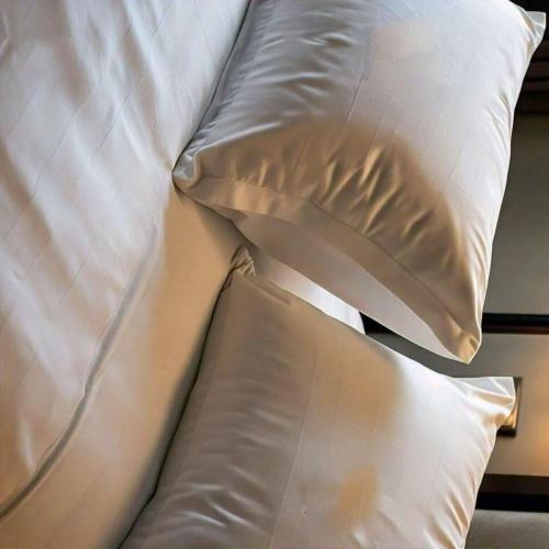 50/50 Goose Feather Down Queen Pillows 20x30 Inch Medium Support with 100% Cotton Shell – 2 Pack(Standard (Pack of 2))