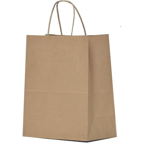 Qutuus 10x5x13 Kraft Paper Bags 100 Pcs Kraft Shopping Bags, Paper Gift Bags for Retail, Merchandise, Recycled Bulk Paper Sacks, Brown Paper Bags with Handles Bulk
