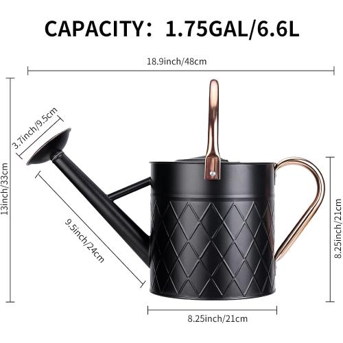 1.75 Gallon Outdoor Metal Watering Can for Garden Plants, Vintage Zinc Watering Can with Removable Spray Spout, Ideal for Outdoor Use (Black)