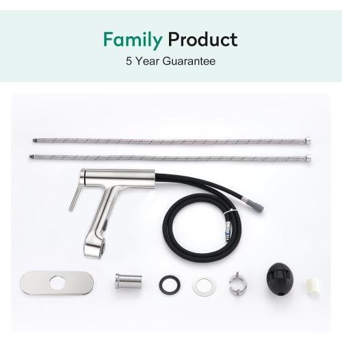 Silver CREA Pull Out Bathroom Faucet Single Hole 1 Handle Utility Sink Faucet with Sprayer Handheld Laundry Room Bath Tub Faucet for Kids Pet Vanity Face Basin Mixer Tap Brushed Nickel Stianless Steel