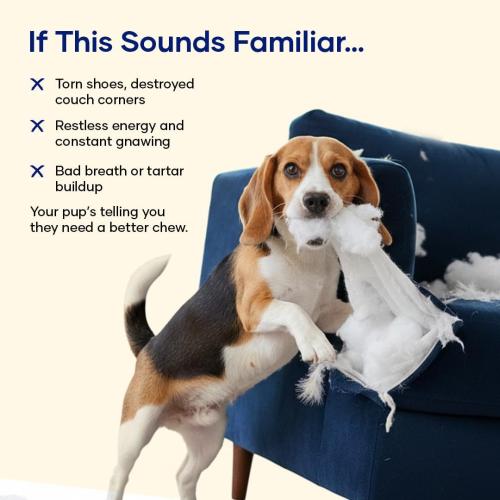 Wishbone – Bacon Flavored Dog Chew Toy | Durable, Long-Lasting, Teeth Cleaning | Safe for Heavy Chewers