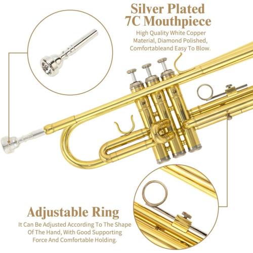 Trumpet Instrument,Band & Orchestra Musical Instruments for Beginners,With trumpets case,Mouthpiece,Cloth and Gloves (Golden)