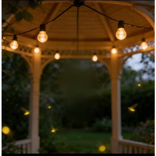 A19 Clear Incandescent Rough Service Light Bulb, 100 Watt Incandescent Light Bulbs, A19 100WATT Bulbs ， 2700K Soft White, E26 Medium Base, 110-130V (2 Pack)