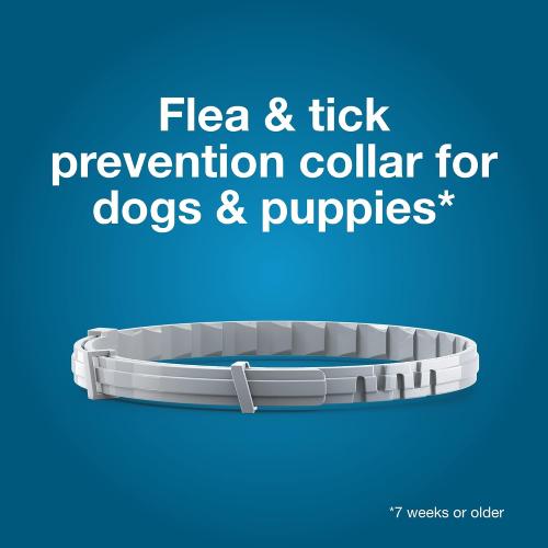 Seresto Flea & Tick Collar For Dogs Over 18 lbs., Treatment & Prevention, Vet-Recommend, 8 Month Protection