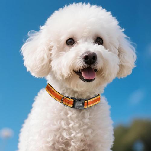 Kazazoo Reflective Dog Collar with Soft Padding Dog Collar for Medium & Small Dogs, No Pull, Heavy Duty, Adjustable Nylon Collar with Quick-Release Buckle, Walking Training-Orange-XS