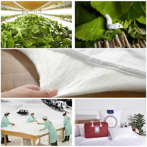 Premium Mulberry Silk Fill 100% Natural 6A Grade Long-Strand Mulberry Silk Filling Hypoallergenic for Stuffing (Mulberry Silk 1IB)