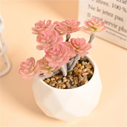 Succulent Pink Bonsai Micro Landscape Potted Plant Decoration 4-Piece Set (with Diamond Pot)