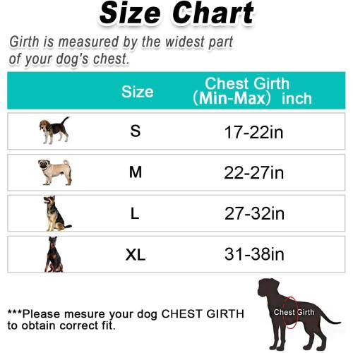 BARKBAY Dog Harness No Pull for Large Dogs - Adjustable, Reflective, Comfortable, No Choke, Heavy-Duty - Perfect for Outdoor Training, Walking, and Hiking - Strong & Durable - L & Black