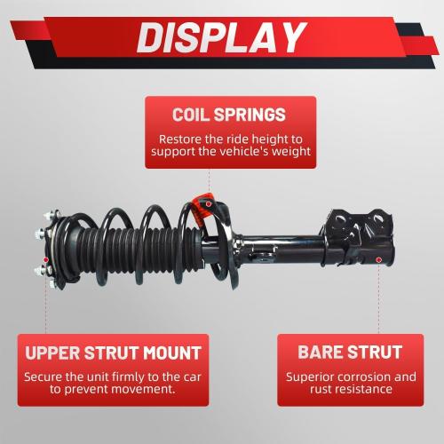 Upgraded Front Struts Assembly w/Coil Spring Shock Absorber Compatible with Honda CR-V 2.4L 2007-2014 2008 2009 2010 2011 2012 2013 Replace 1333365L 1333365R