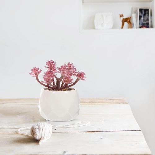 Artificial Succulents Bonsai Set 4pcs, Realistic Fake Succulent Plant Pots, Vivid Desktop Potted Plants Décor for Home Office Decoration