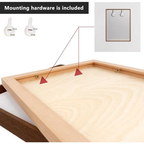 20x20 Solid Walnut Wood Picture Frame Matted to 18x18 | Shatterproof Plexiglass, Mortise-Tenon Build, Horizontal & Vertical Wall Mounting Square Large Display Frame