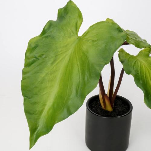 2 PCS...Hollyone Fake Potted Plants Artificial Plants Indoor 11 Faux Plants Caladium Plant in Black Ceramic Pots for Home Decor Office Desk Bathroom Bedroom Greenery Decoration