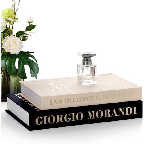 Decorative Books for Home Decor - Set of 2 Fake Books for Decoration, Faux Book Storage Box Enhance Your Coffee Table, Bookshelf & Mantel Shelf Decor, Linen Book Decor Aesthetic Set, Books Decor