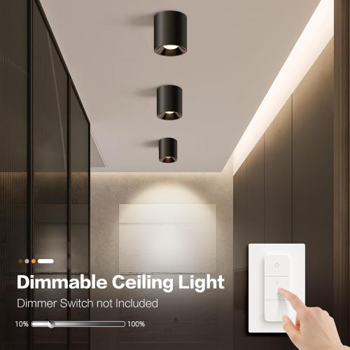 OKELI Modern LED Ceiling Light Fixture Flush Mount COB 20W 4000K Cylinder Ceiling Lights, Dimmable Hallway Lighting Fixtures Ceiling Lamps for Living Room Bedroom Kitchen