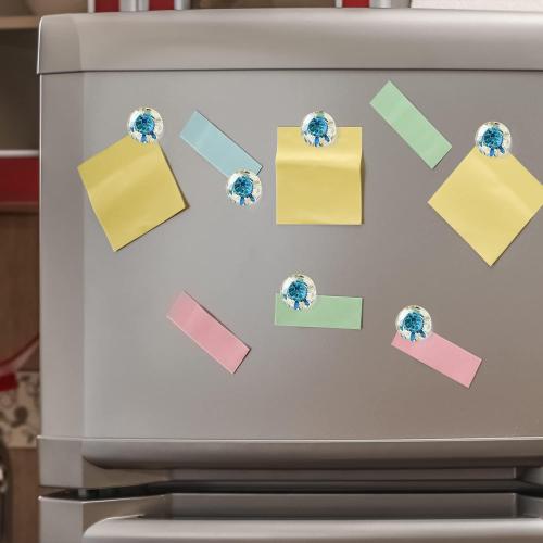 Set of 2 Turtles and sunflowers Round Refrigerator Magnets Glass Fridge Magnets Decoration for Fridge Office Calendar Whiteboard Photo Cabinet 6 Pcs - Retro Turtle