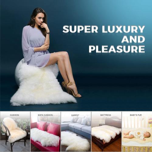 WL&ALLEN Sheepskin Rug - Genuine Thick & Lush Pile, Luxury Australian Pelts | Large Single  Ivory White