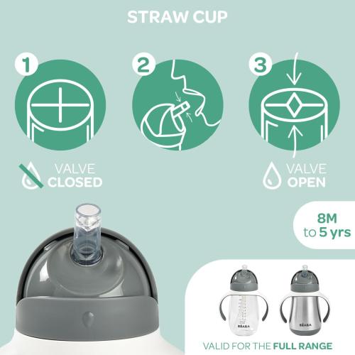 Beaba Stainless Steel Straw Sippy Cup, Insulated Toddler Cups Spill Proof with Removable Handles, Made with High Grade Stainless Steel, 8  months, 8.5 oz (Rain)