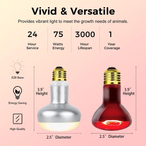 Reptile Infrared Heat Lamp Bulb 75W, 2-in-1 Day & Night Combo, Infrared Heat Lamp & UVA Sunlight Heating Lamp for Reptile Terrariums