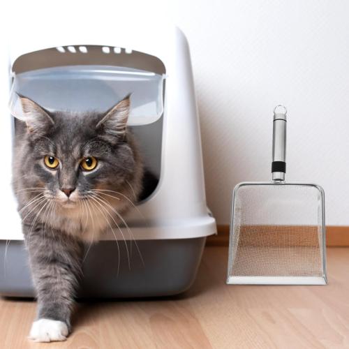 Silver Mesh Litter Scoop, Stainless Steel Litter Scooper Metal Sand Shovel Small Cat Litter Scoop Fine Mesh Metal Reptile Litter Cleaner Scooper for Cats, Reptiles, and Small Pets