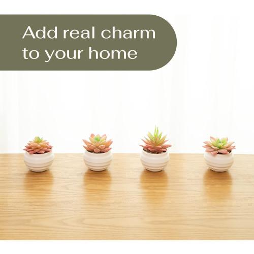 VIVERIE 4Pcs Pink Green Artificial Succulents in Pots (Plastic)- Small Artificial Plants, Office Decor, Office Home Halloween/Christmas Decor Gifts-Faux Plant Gifts for Women