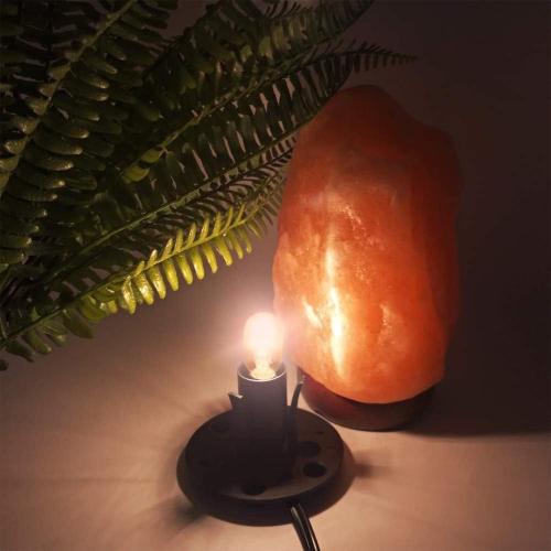 2-Pack Salt Lamp Cord Replacement, 5-Foot Long with Dimmer Switch, E12 Base, 15W LED Warm White Bulbs (6-Pack)