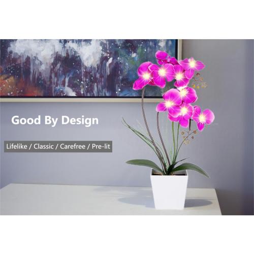 HOMESEASONS Orchid Lamp-LED Lighted Orchid Arrangements,Pre Lit Artificial Orchid,Light Up Flower Lights, Faux Orchid Phalaenopsis Arrangement (Purple)