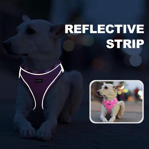 haapaw Dog Harness with Leash Set, No Pull Adjustable Reflective Step-in Puppy Harness with Thickened Padded Vest for Extra-Small/Small Medium Dogs