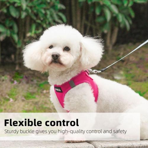 Size S PINA Dog Harness for Small Dogs No Pull, Small Dog Harness and Leash Set, No Choke Breathable Mesh Dog Vest Harness, Lightweight Adjustable Small Medium Dog Harness - Easy to Put On and Take Off