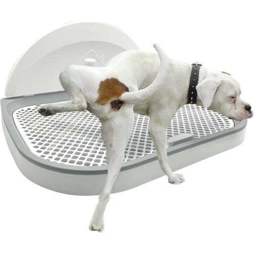 Tfwadmx Pee Pad Holder Dog Potty Tray with Splash Guard & Center Post Mesh Training Toilet Potty Tray Puppy Pad Holder for Puppy and Small Size Dog (Grey, 22.4×17.7)