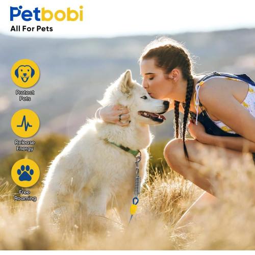 Petbobi Dog Tie-Out Cable and Stake - 30ft Heavy Duty Cable with Spring, No Tangle, 16in Ground Stake, Ideal for Yard, Camping and Beach, Suitable for Small Medium Large Dogs Up to 120 lbs, Blue