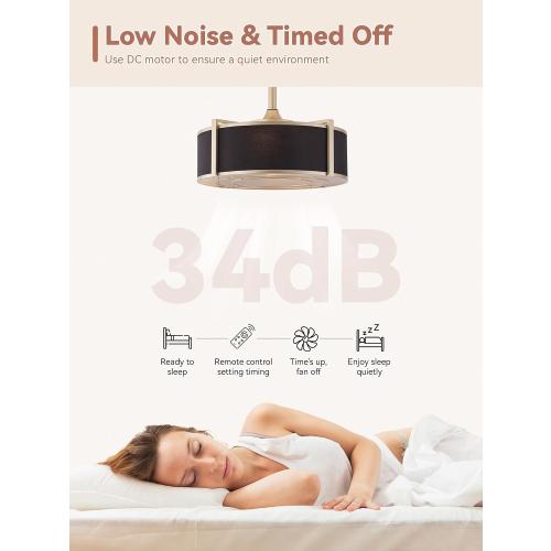 20 inch Fandelier Ceiling Fan with Light, Boho Chandelier Ceiling Fan with Light Remote Control, Caged Enclosed with 6 Speeds for Bedroom, Living Room, Foyer, Nursery