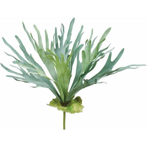 Asuka Artificial Flower Stag Horn Green Total Length: Approx. 21.7 inches (55 cm), Width: Approx. 23.6 inches (60 cm), A-44125-051A