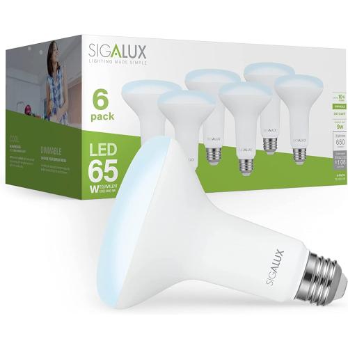 Pack of 6 LED Flood Lights Indoor, BR30 LED Bulb 65W Equivalent, Dimmable Recessed Light Bulbs 5000K Daylight Can Light Bulbs 650LM, E26 Base Bulged Light Bulbs UL Listed, Pack of 6