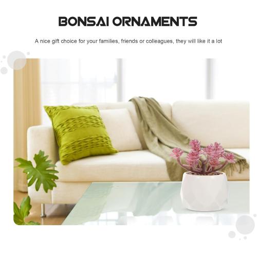 Artificial Succulents Bonsai Set 4pcs, Realistic Fake Succulent Plant Pots, Vivid Desktop Potted Plants Décor for Home Office Decoration