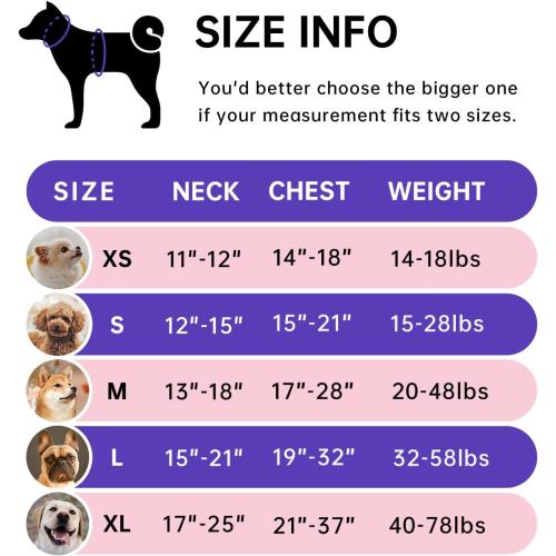 IVY&LANE No Pull Dog Harness for Medium Dogs, Dog Vest Harness with Leash, Safety Belt and Storage Strap, Fully Adjustable Harness, 360° Reflective Strip, Soft Handle (Purple, M)