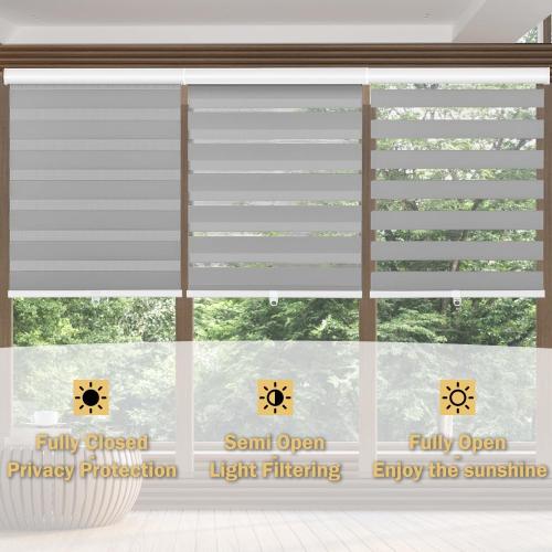 Cordless Zebra Blinds for Windows, 18 W x 72 H Zebra Roller Shades with Valance Free Stop Zebra Roller Shades, Light Control Window Treatments Dual Layer Sheer Blinds for Day and Night, Grey
